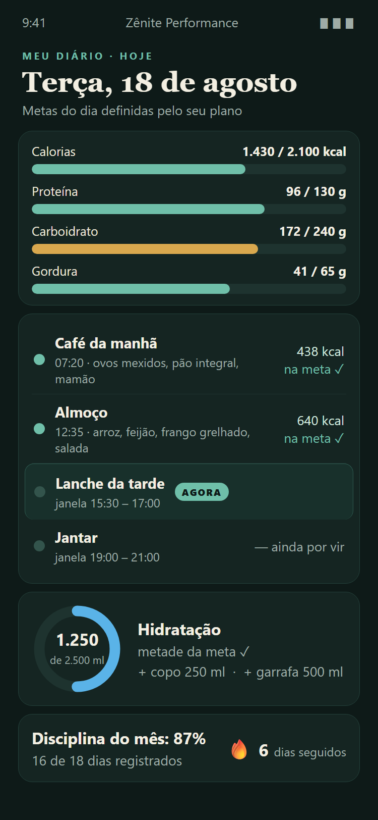 Plataforma Zênite — diário de atividades e metas