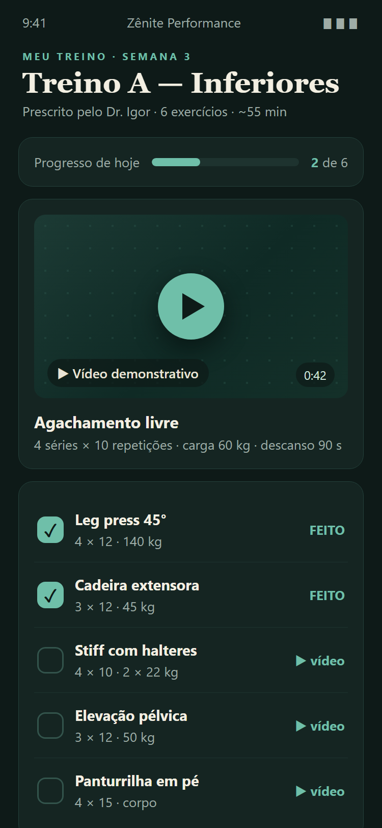 Plataforma Zênite — tela de treino com vídeos e controle de séries